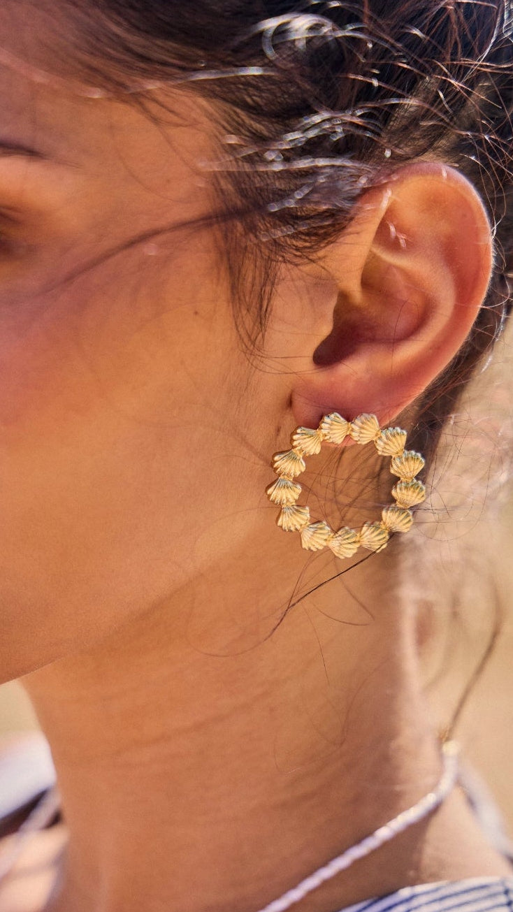 CREOLES COQUILLAGES